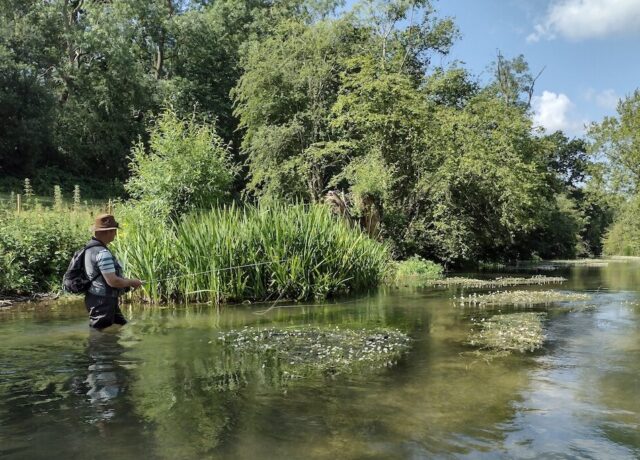 Fly Fishing in the Cotswolds