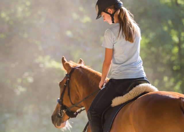 Horse Riding