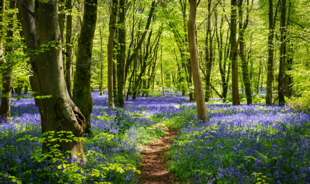 There’s lots to do this Spring in the Cotswolds