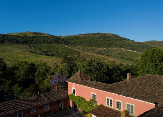 The Double Red Duke Wine Society